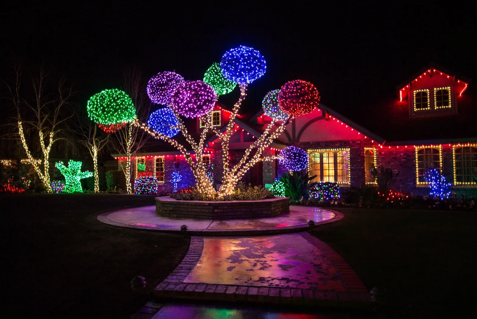 Colorful Christmas lighting on a front yard tree, roofline, windows, and landscape