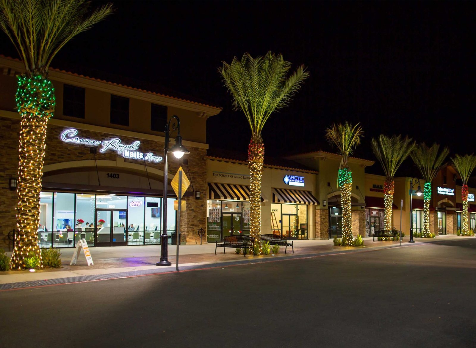 Commercial Christmas lighting wrapped around palm trees