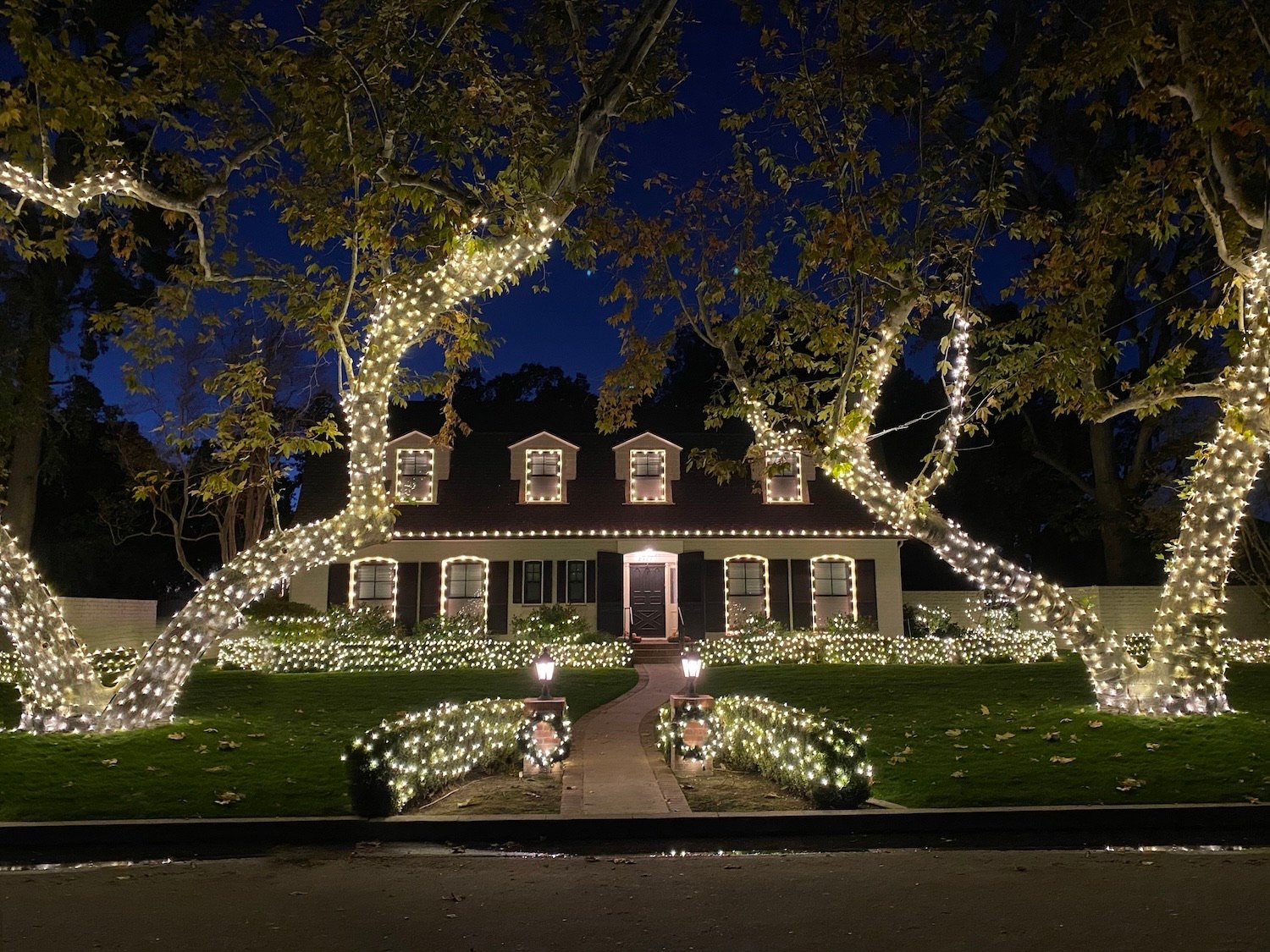 Large Christmas lighting display with wrapped trees, roofline lights, and front yard landscape lighting