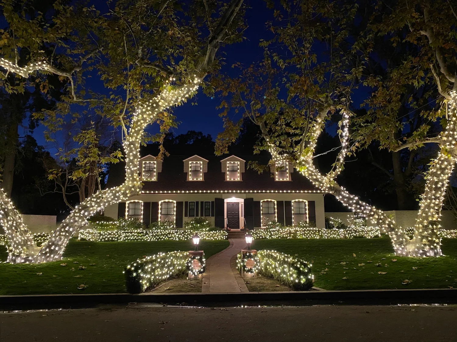 Christmas lights wrapped around front yard trees and roofline on a Bakersfield home