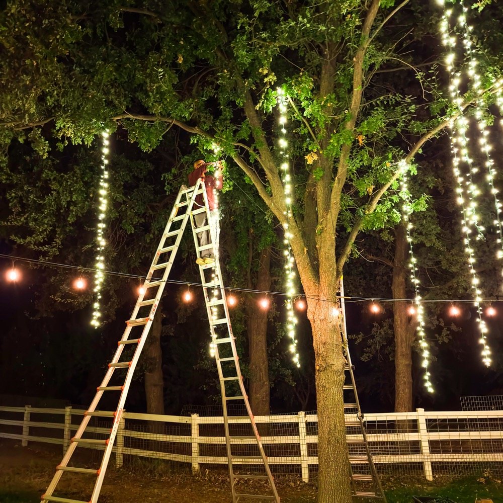 Professional string light installation with clean support points