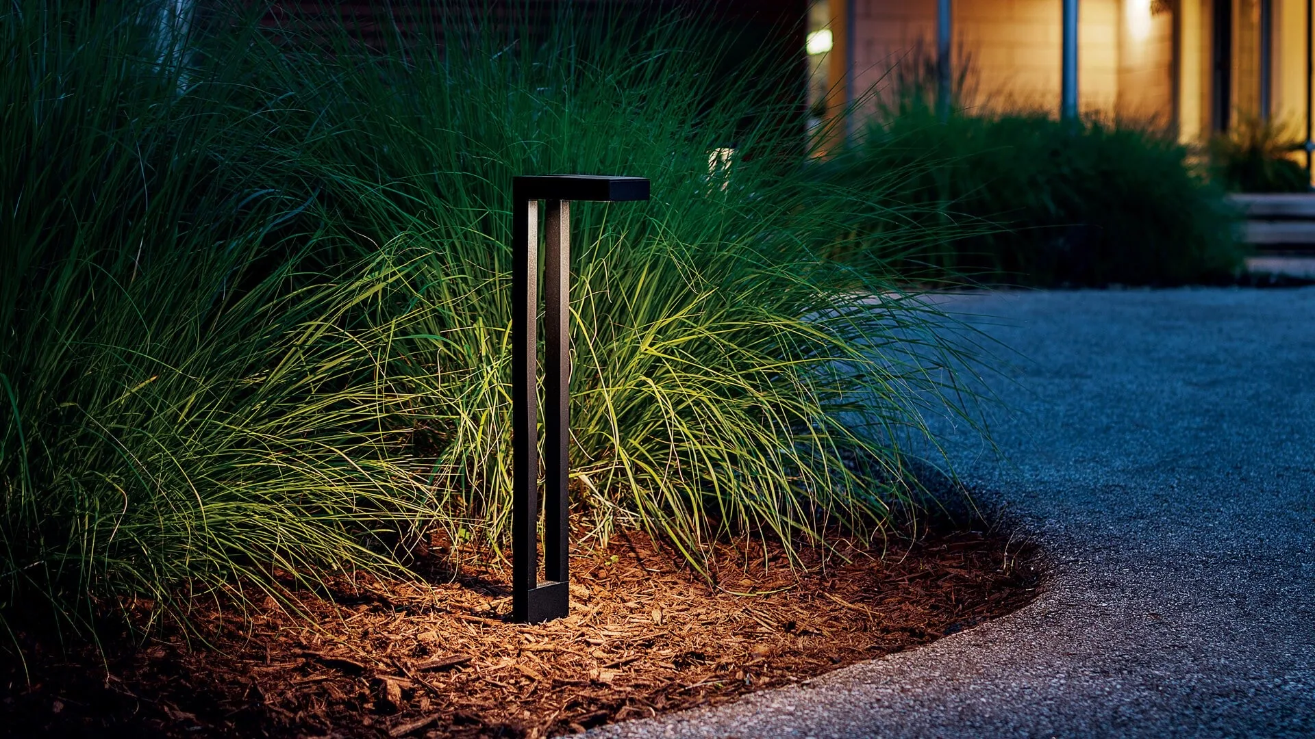 Modern path light illuminating ornamental grasses