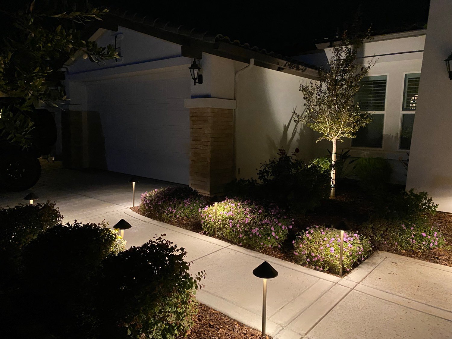 Finished landscape lighting with path lights and tree uplighting