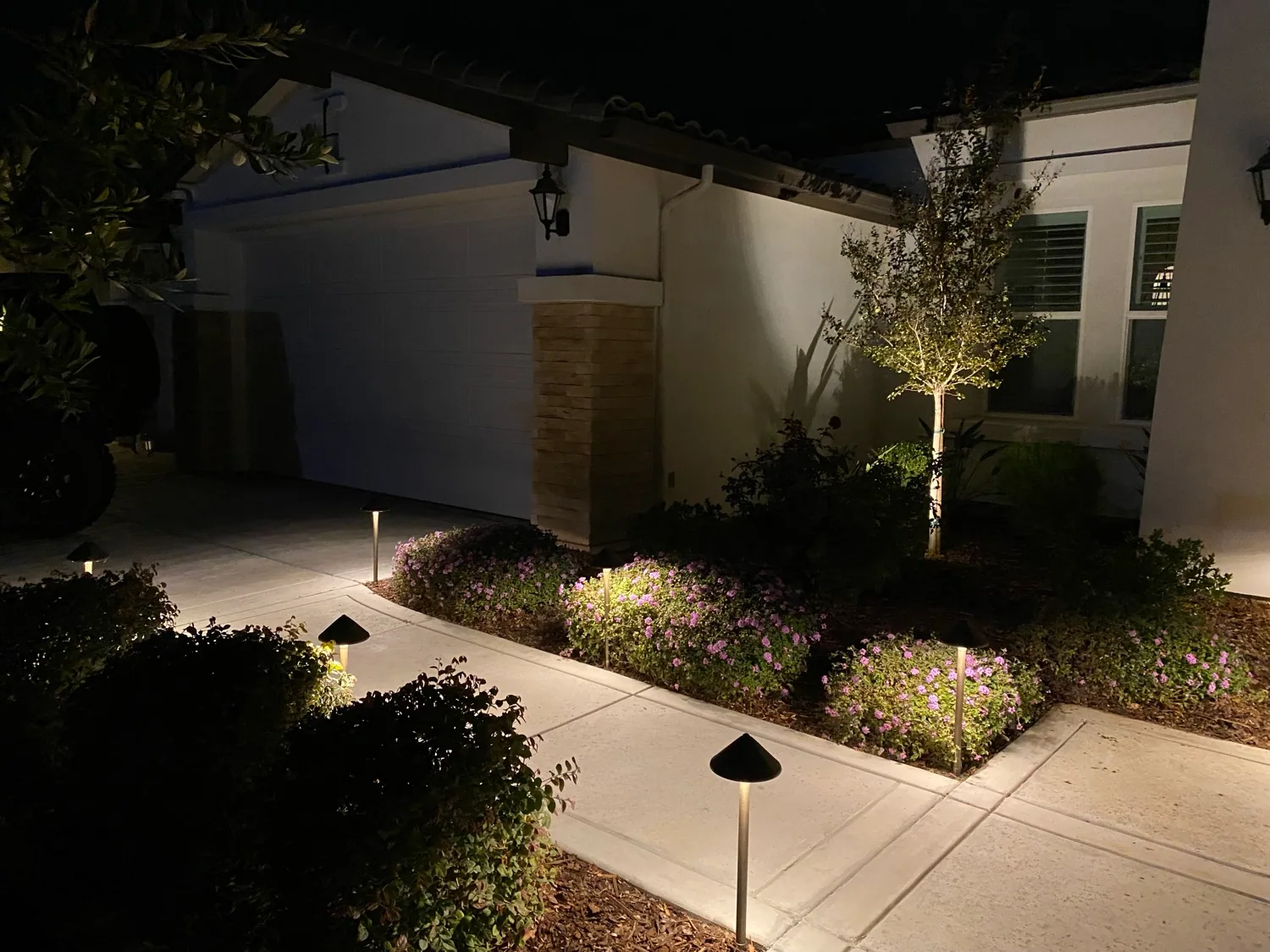 Path lights and tree uplighting along a front walkway