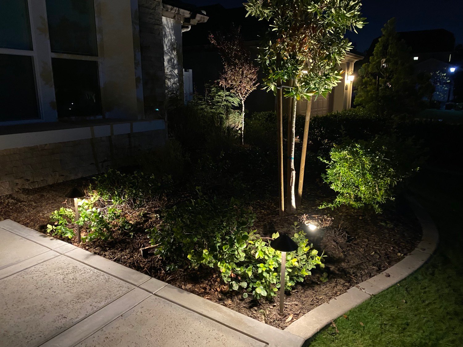 Backyard landscape lighting detail