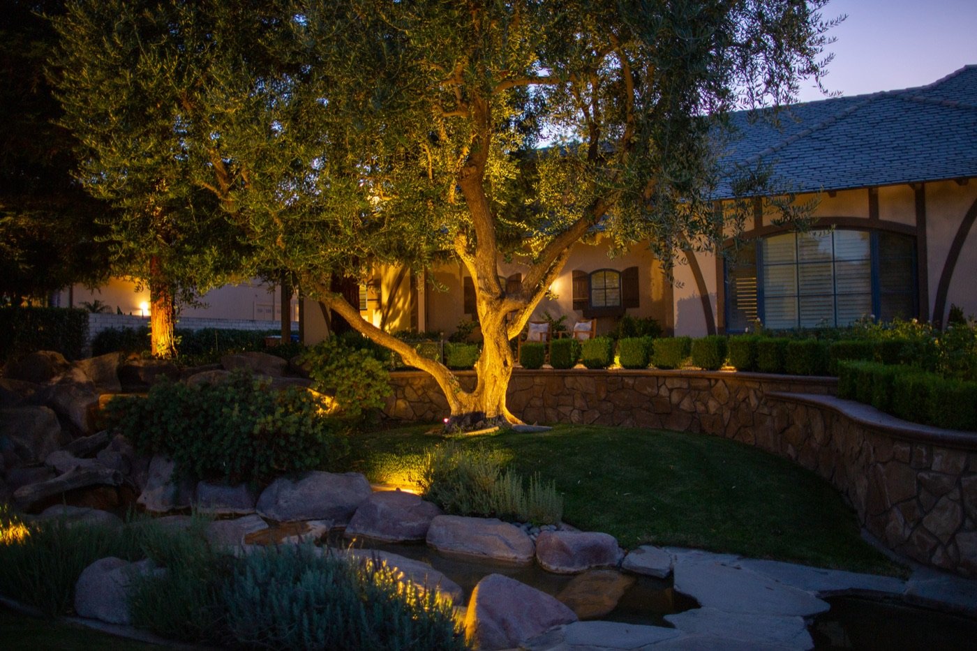 Garden uplighting and pathway lighting