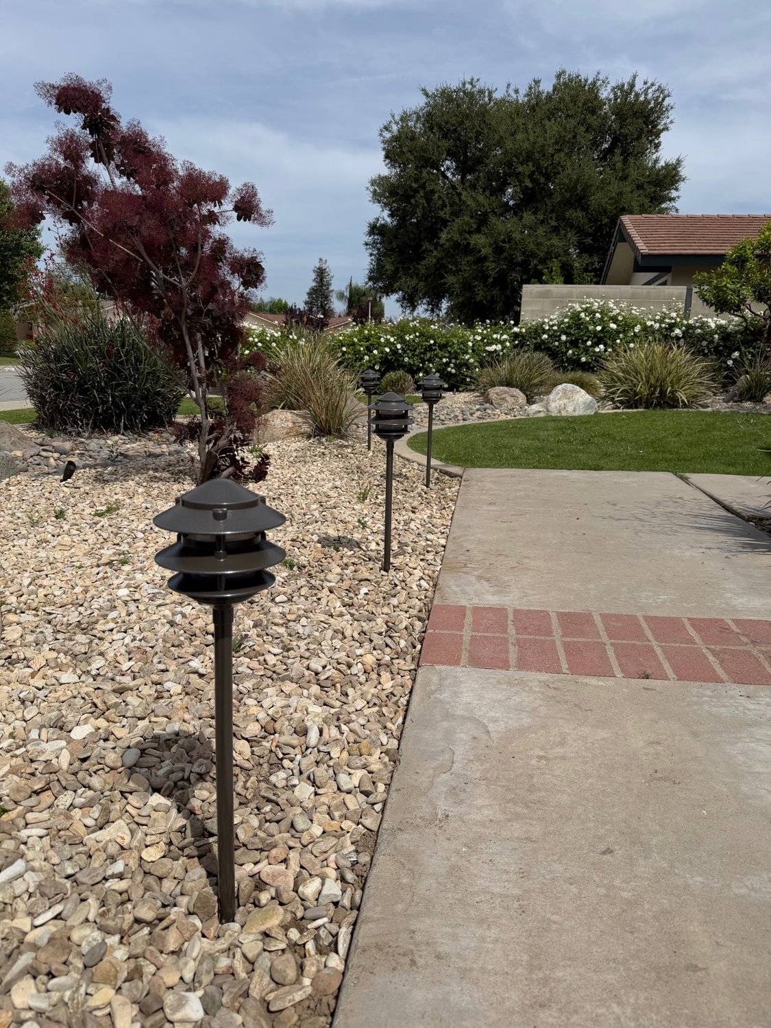 Daytime view of path fixtures along a walkway