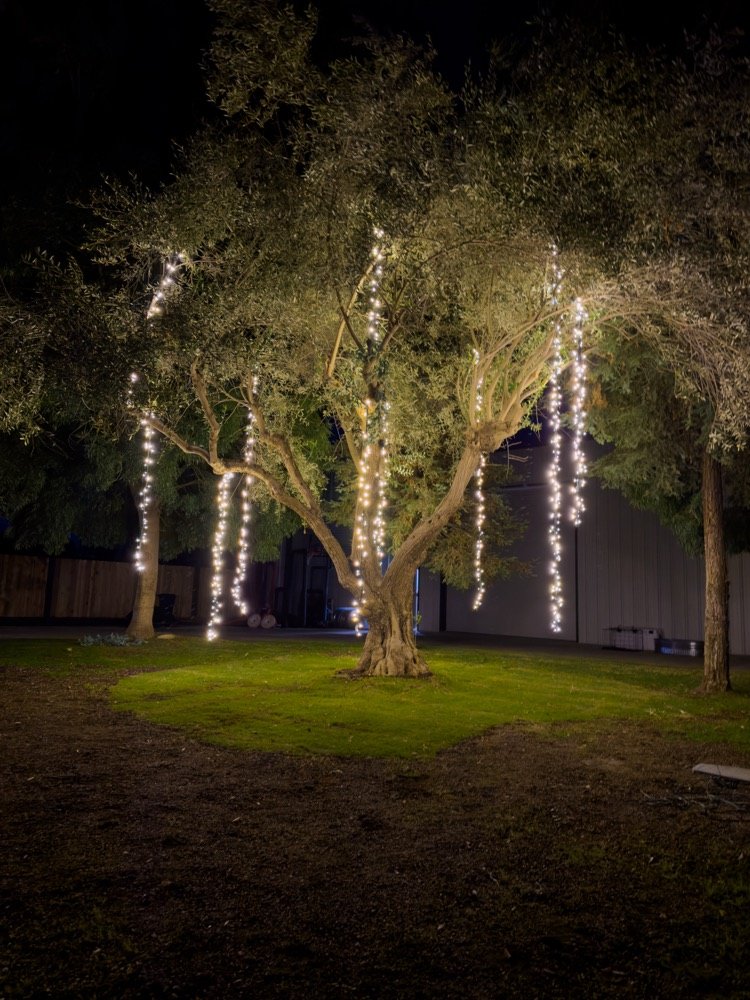 Tree lighting installation